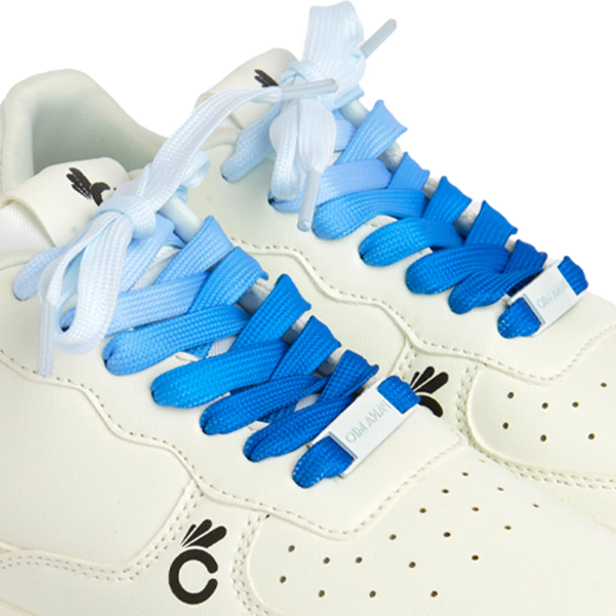 Lacet Sneakers Panamio