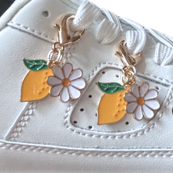 Accessoires Sneakers Panamio
