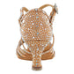 Chaussure de Danses Latines Dancin pour Femme