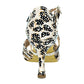 Chaussure de Danses Latines Dancin pour Femme